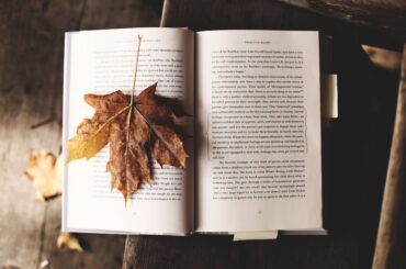 Noviembre en la Biblioteca de El Molar