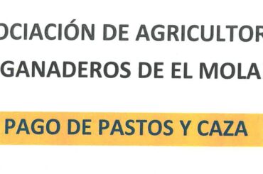 PAGO DE PASTOS Y CAZA
